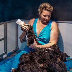 Life of a Breeder-Isabella Robbeson-finalist-FINE ART-Other -8527