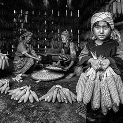 Farmers Vietnam-Mohammed Muhtasib-bronze-PEOPLE-Family -8158