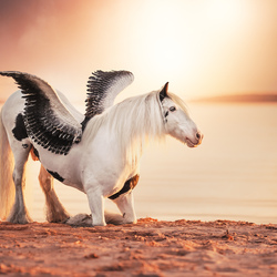 Sundown serenity-Sarah Dahlgren-bronze-SPECIAL-Pets -8155
