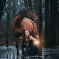 Illuminated Solitude-Sarah Dahlgren-finalist-SPECIAL-Pets -8529