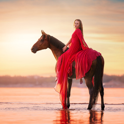 Dreams at Dusk-Sarah Dahlgren-finalist-SPECIAL-Pets -8530
