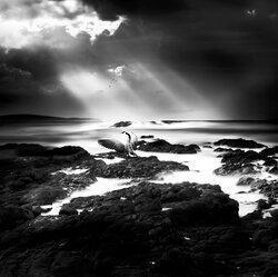 Sea horizons-Diana Ivanova-bronze-NATURE-Landscapes -8072