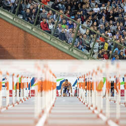 Two Worlds-Huub Keulers-gold-SPORTS-Other-8746
