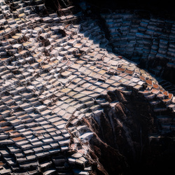 More Salt?-Amit Misra-silver-NATURE-Other -8821