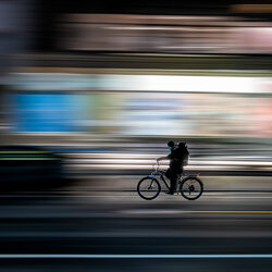 Flash On A Bicycle-Amit Misra-bronze-SPECIAL-Digitally Enhanced -8120