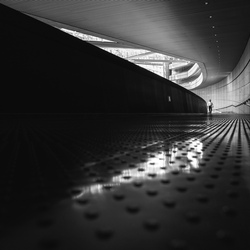 The Long Walk-Amit Misra-bronze-ARCHITECTURE-Interiors -8126