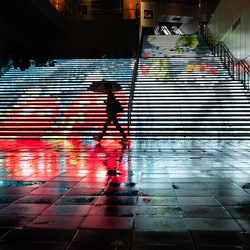 Walking Through The Garden Of Light-Amit Misra-finalist-PEOPLE-Street-8513