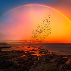 Chasing to rainbow-Diana Ivanova-bronze-NATURE-Landscapes -8073