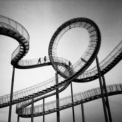 Tiger & Turtle-Patrick Betthaus-bronze-ARCHITECTURE-Other -8168