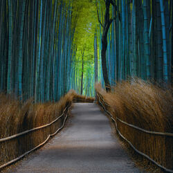 Kyoto Dreaming-Peter Lik-bronze-FINE ART-Landscape -8035