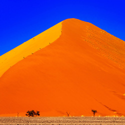 Dune 45, Namibia-Taymuraz Gumerov-bronze-NATURE-Landscapes -8131