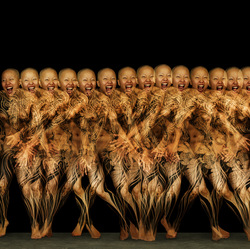 Dance Study #1641-Howard Schatz-silver-FINE ART-Other -8843