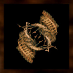 Dance Study #1683-Howard Schatz-silver-FINE ART-Other -8844