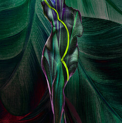 Pregnancy Study #1711-Howard Schatz-bronze-FINE ART-Portrait -8180