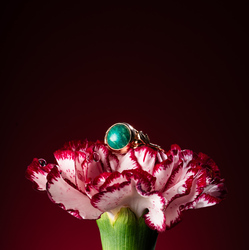 Token of Remembrance-Adam Bartoszewicz-finalist-ADVERTISING-Product / Still Life-8594