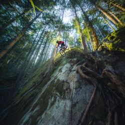 Mountain Bike mastery-joe wakefield-silver-SPORTS-Extreme Sports-8901