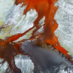 Crimson-Mark Gray-bronze-FINE ART-Abstract -8417