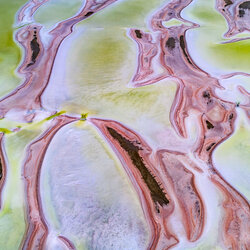 Zest-Mark Gray-silver-FINE ART-Abstract -8945