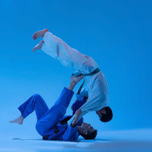 Р¤РѕС‚РѕРѕР±РѕРё Judo