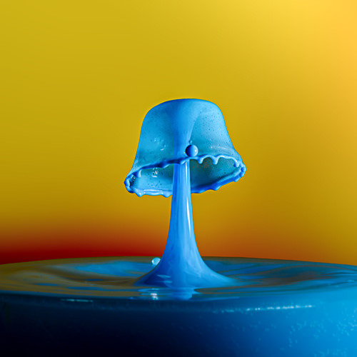 photographer of week