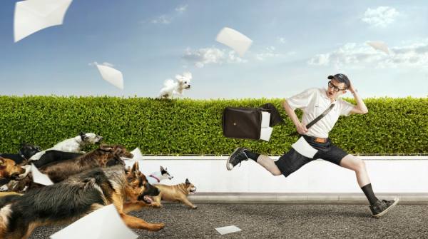 Photograph Przemyslaw Koch The Mailman on One Eyeland