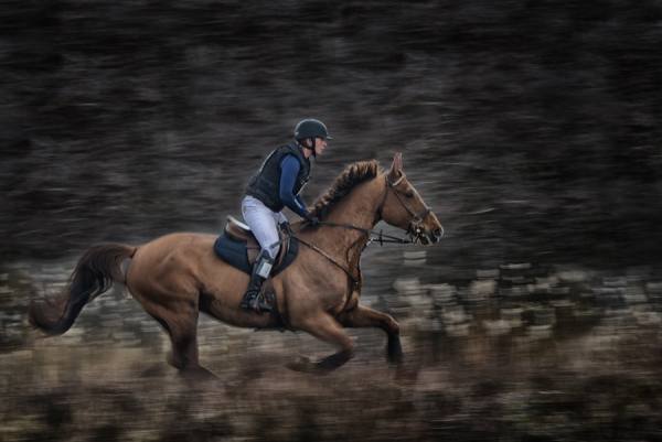 Photograph Tejo Coen At Full Gallop on One Eyeland