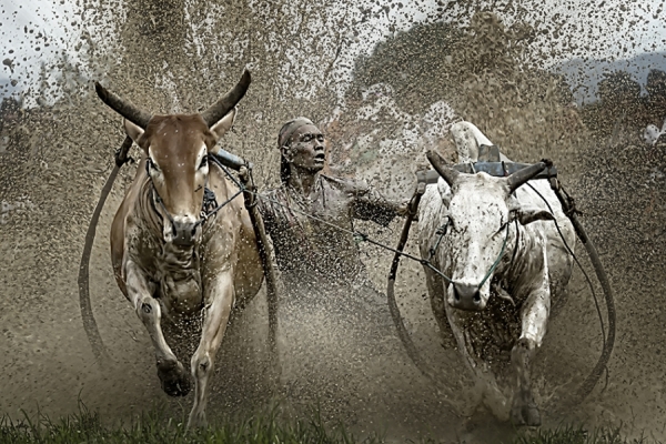 Photograph Fauzan Maududdin Extreme Frontal on One Eyeland