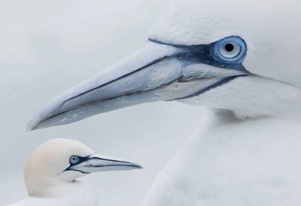 Photograph Martin Baitinger Freeze2 on One Eyeland