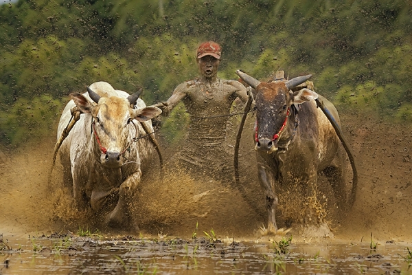 Photograph Fauzan Maududdin Full Strength Full Speed on One Eyeland