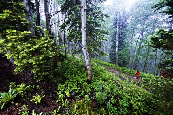Photograph Andrew Wilz Rain Or Shine on One Eyeland