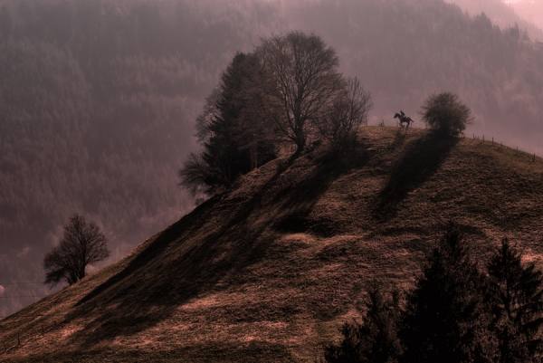 Photograph Tejo Coen Uphill on One Eyeland