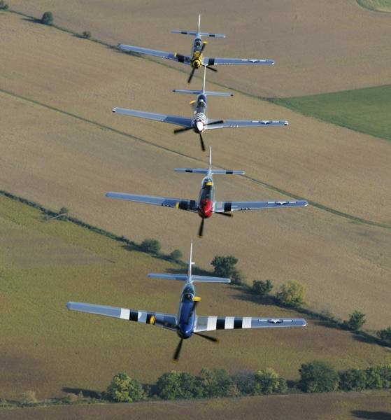 Photograph Larry Hamill 4 Mustangs on One Eyeland