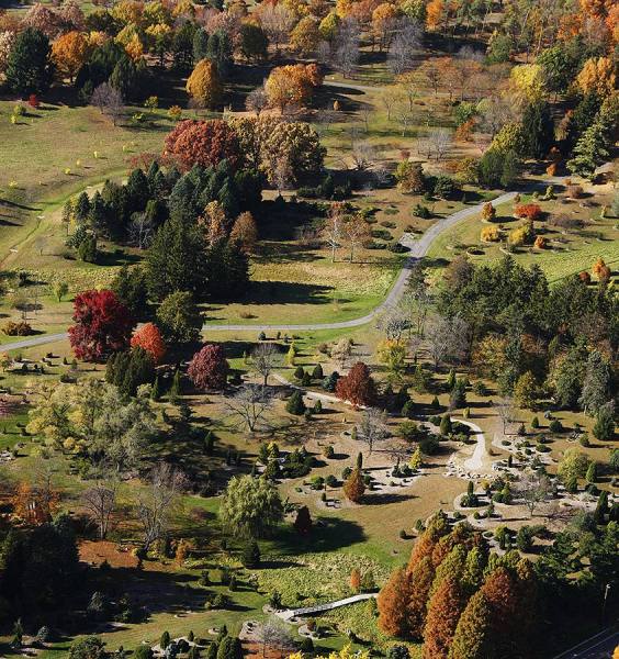 Photograph Larry Hamill Dawes Arboretum on One Eyeland