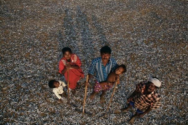 Photograph Nicolas Chorier Fishermen Drying Sardines on One Eyeland