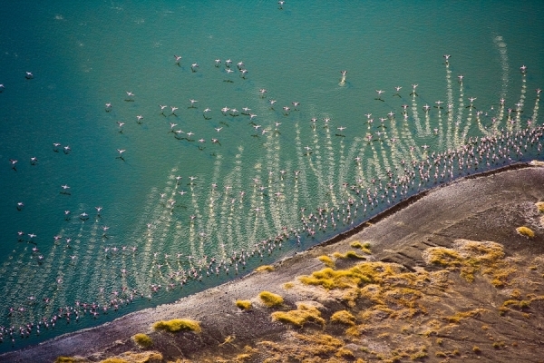 Photograph Michael Poliza Flamingo Lake on One Eyeland