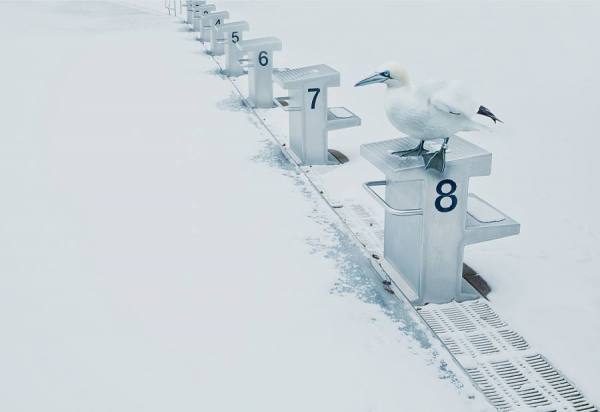 Photograph Martin Baitinger Freeze1 on One Eyeland