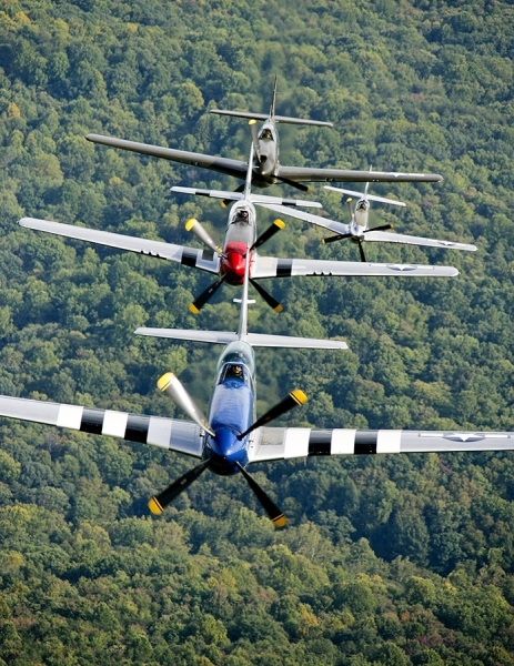Photograph Larry Hamill Gathering Of Mustangs And Legends on One Eyeland