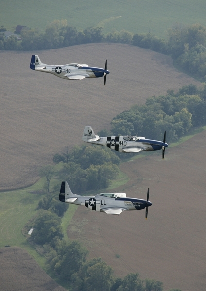 Photograph Larry Hamill Gathering Of Mustangs And Legends on One Eyeland