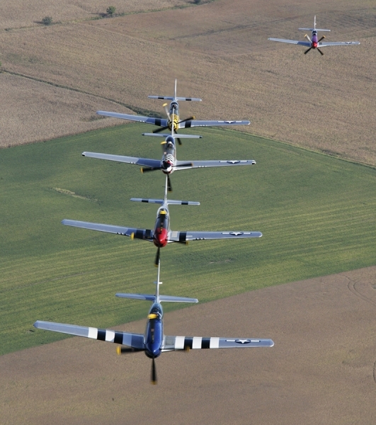 Photograph Larry Hamill Gathering Of Mustangs And Legends on One Eyeland