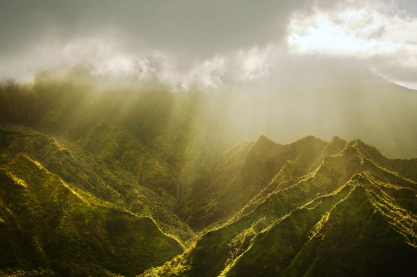 Photograph Caterina Bernardi Hawaii on One Eyeland