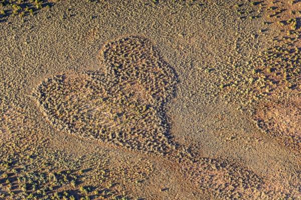 Photograph Michael Poliza Heart on One Eyeland