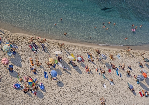 Photograph Nick Dolding Italian Shark on One Eyeland