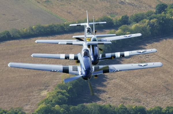 Photograph Larry Hamill Mustangs on One Eyeland