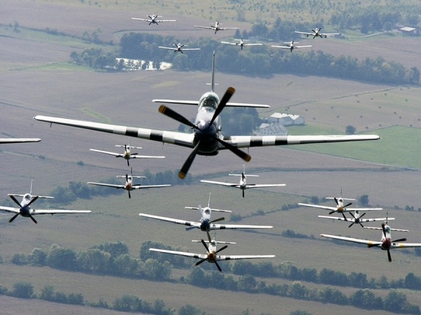 Photograph Larry Hamill Mustangs on One Eyeland