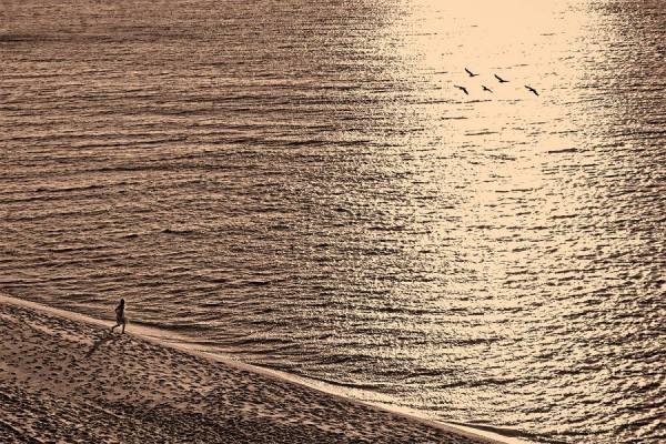 Photograph Mauro Risch Natalie And The Seagulls on One Eyeland