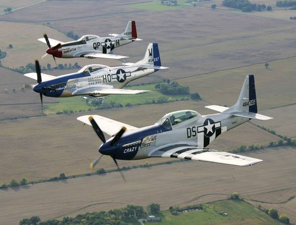 Photograph Larry Hamill P51 Mustangs on One Eyeland