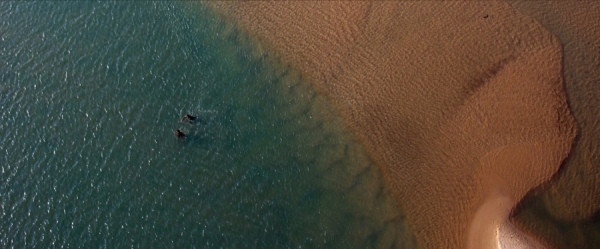 Photograph Nicolas Chorier Swimming In The Laguna on One Eyeland