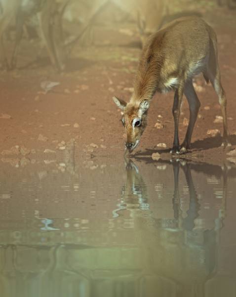 Photograph Moussa Idrissi Happy Morning on One Eyeland