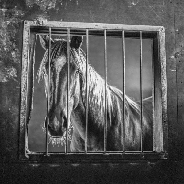 Photograph Tsuyoshi Shinke Sad Also Beautiful... on One Eyeland