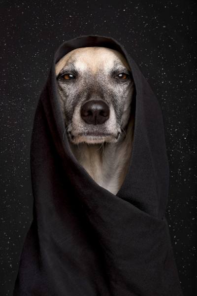 Photograph Elke Vogelsang May The Force Be With You on One Eyeland